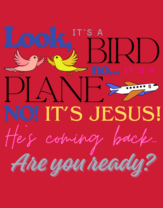 It's A Bird, It's A Plane T-Shirt