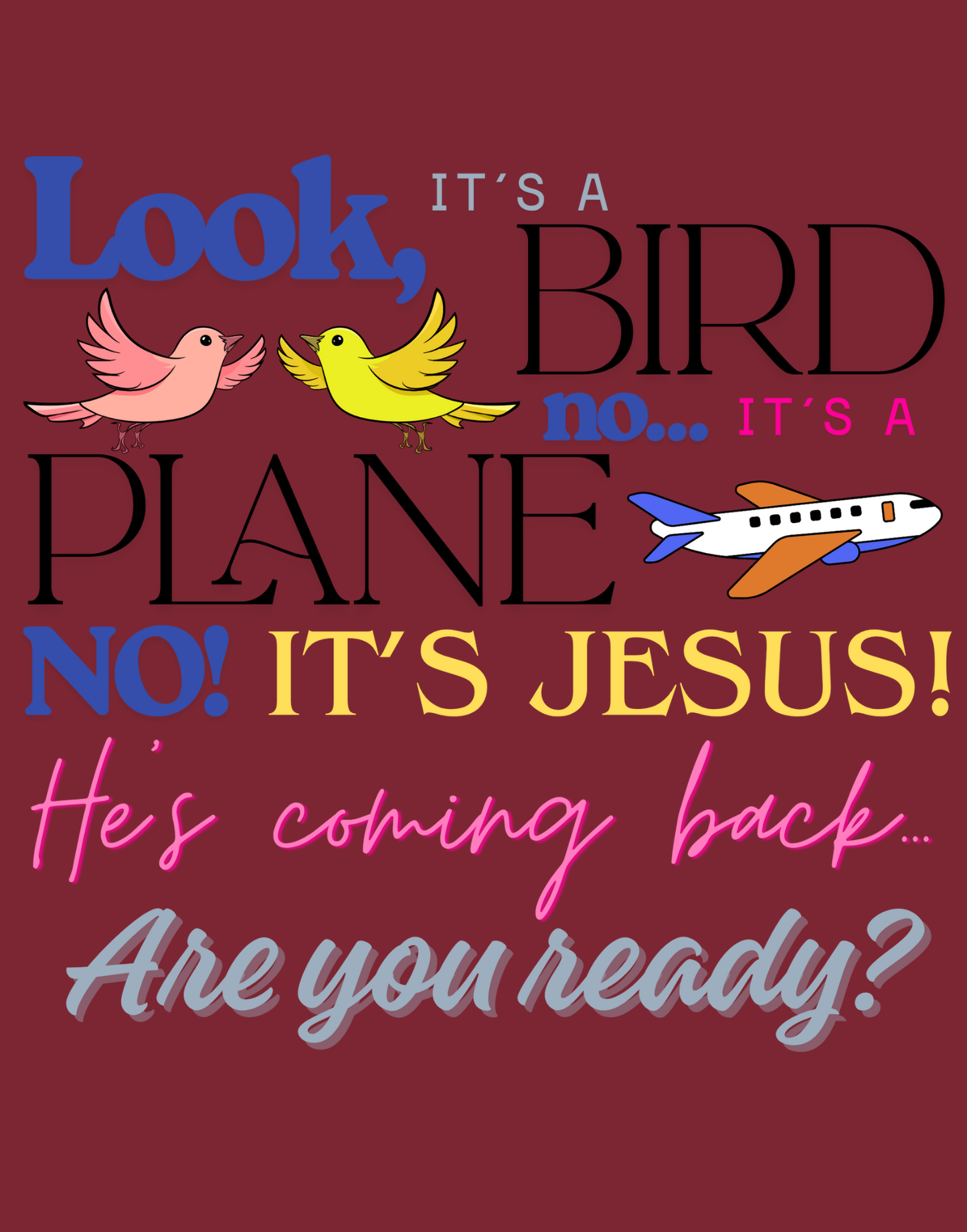 It's A Bird, It's A Plane T-Shirt